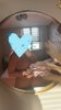 IMG_1909.jpeg