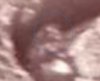 IMG_3974.jpeg