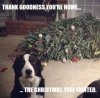 dog2.jpg