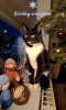 upload_2023-12-31_17-20-30.png