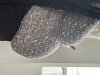 IMG_9975.jpeg