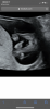 4B787FC5-C7F2-4C8F-BB7D-DCC57255B4B8.png
