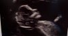 IMG_8815.jpeg