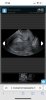 8F056C30-3C4D-48AE-84AE-9886470116EE.png