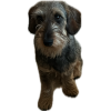 upload_2024-1-16_0-26-58.png