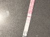 IMG_4282.jpeg
