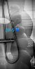 IMG_4621.jpeg