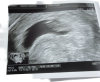 upload_2024-1-31_12-42-36.png