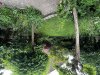 IMG_2409.jpeg