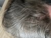 IMG_2577.jpeg