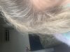 IMG_5992.jpeg