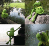 frog-waiting.gif