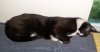 IMG-20220712-WA0006.jpg