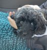 IMG_5180.jpeg