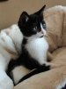 IMG_20220830_163550_Bokeh.jpg