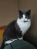 IMG_20240106_113947_Bokeh.jpg