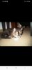 Screenshot_20240208_155407_Facebook.jpg