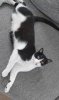 Messenger_creation_d24b4344-1850-4f6e-a595-46c80c8efd7d.jpeg