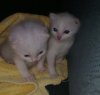 111020101973new.jpg
