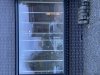 IMG_7208.jpeg