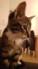 IMG-20190413-WA0013.jpg