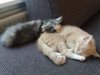 20160702_152140.jpg