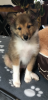 upload_2024-2-11_11-27-23.png