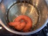 IMG_8099.jpeg