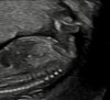 IMG_6365.jpeg