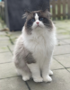 Scherm­afbeelding 2024-02-15 om 09.31.48.png