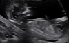 Screenshot_20240214-210039~2.png