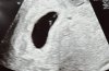 IMG_0074.jpeg