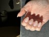 IMG_6583.jpeg