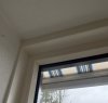 IMG_7780.jpeg