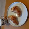 20240225_080700.jpg