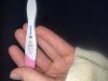 IMG_1337.jpeg