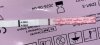 IMG_1134.jpeg