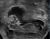 IMG_2410.jpeg
