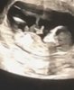 IMG_7748.jpeg
