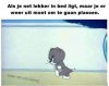 IMG_2817.jpeg