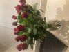upload_2024-3-20_22-8-17.jpeg