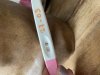 IMG_1564.jpeg