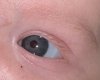 IMG_0864.jpeg
