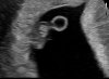 IMG_0028.jpeg