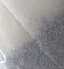 20240402_125952.jpg
