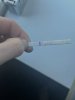IMG_7610.jpeg