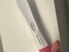IMG_6350.jpeg