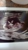 IMG-20240412-WA0000.jpeg