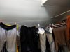IMG_20240418_121504.jpg