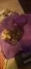 7793f856-cdc0-4335-a496-6e83817fc6fb.jpeg